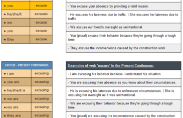 conjugation of verb exuse