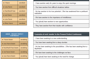 conjugation of verb awake