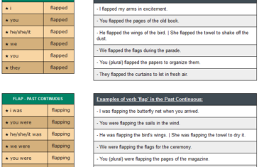 conjugation of verb flap