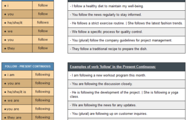 conjugation of verb follow