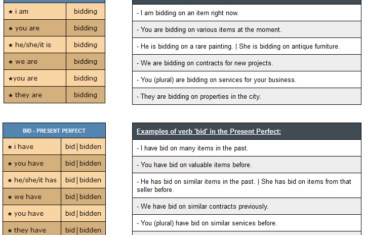 conjugation of verb bid