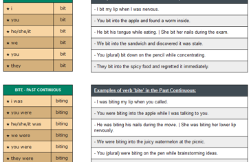 conjugation of verb bite