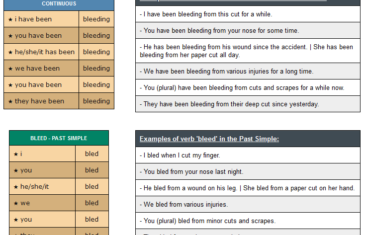 conjugation of verb bleed