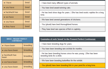 conjugation of verb breed