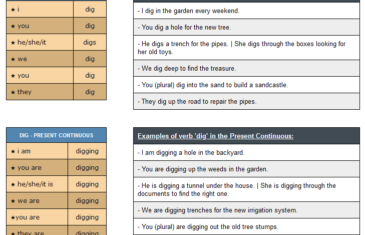 conjugation of verb dig