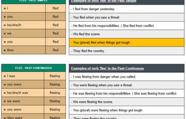 conjugation of verb flee