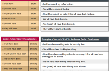 conjugation of verb drink