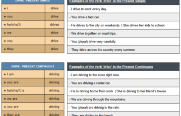 conjugation of verb drive