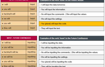 conjugation of verb input