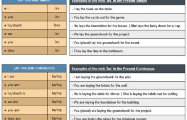 conjugation of verb lay