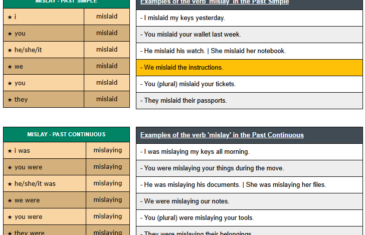 conjugation of verb mislay