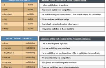 conjugation of verb outbid