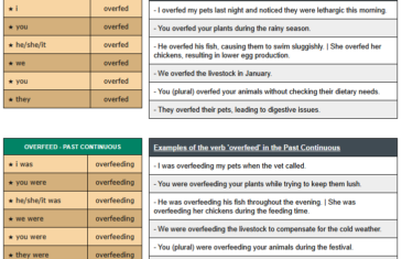 conjugation of verb overfeed