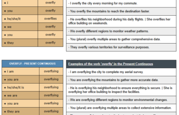 conjugation of verb overfly